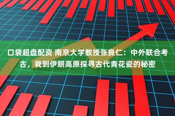 口袋超盘配资 南京大学教授张良仁：中外联合考古，我到伊朗高原探寻古代青花瓷的秘密