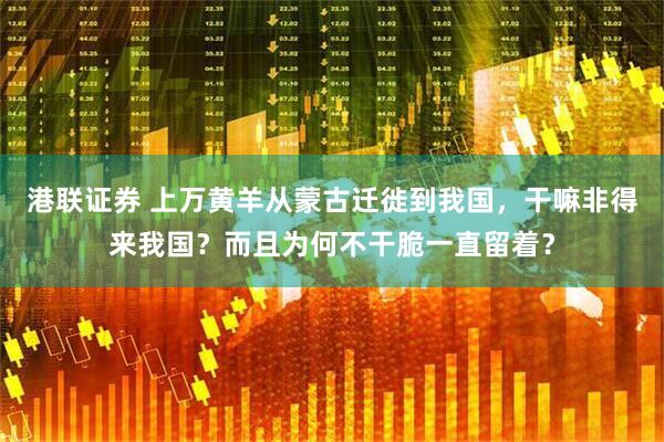 港联证券 上万黄羊从蒙古迁徙到我国，干嘛非得来我国？而且为何不干脆一直留着？