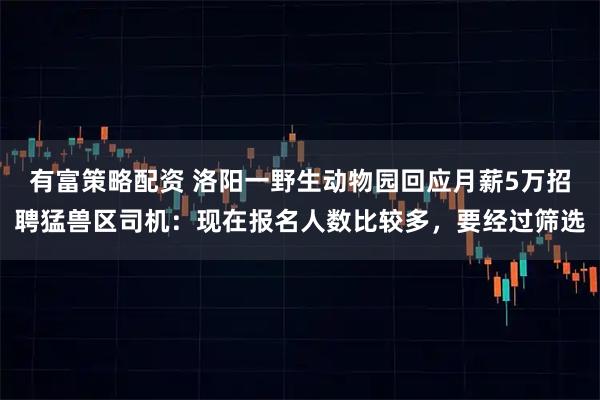 有富策略配资 洛阳一野生动物园回应月薪5万招聘猛兽区司机：现在报名人数比较多，要经过筛选